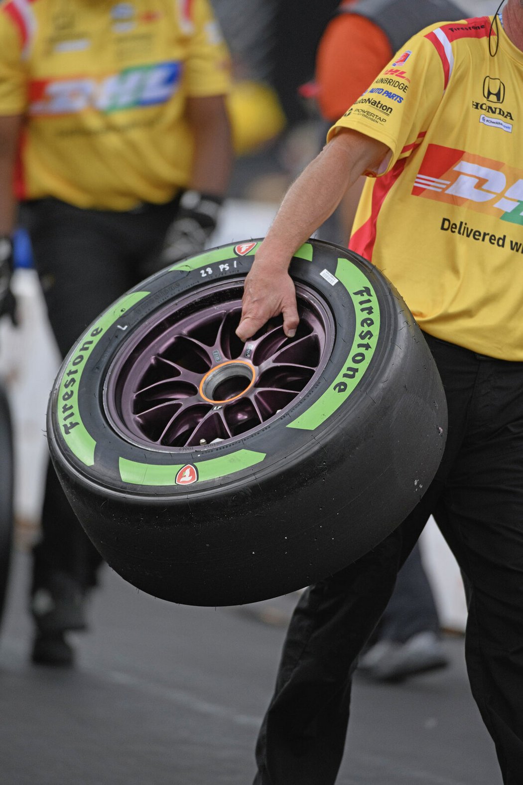 Bridgestone vyrábí pneumatiky z pouštních keříků guayule 