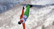Bývalý akrobatický lyžař a trenér běloruského národního týmu zemřel po srážce s autem