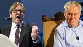 Předseda frakce liberálů a demokratů v Evropském parlamentu nesouhlasí s tvrzením českého prezidenta, že integrovat muslimy je téměř nemožné.