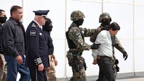 Guzmánovo zatčení bylo výsledkem koordinace mexických elitních jednotek a amerických bezpečnostních služeb.