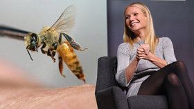 Gwyneth Paltrow věří, že je po jedu z žihadel krásnější.