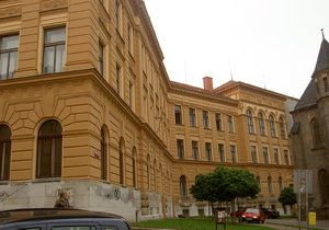 Do Gymnázia Karla Sladkovského v Praze 3 také naběhnou v létě dělníci.