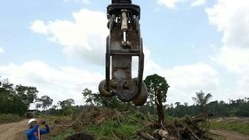 Na stavbě v Brazílii našli 10metrovou anakondu.