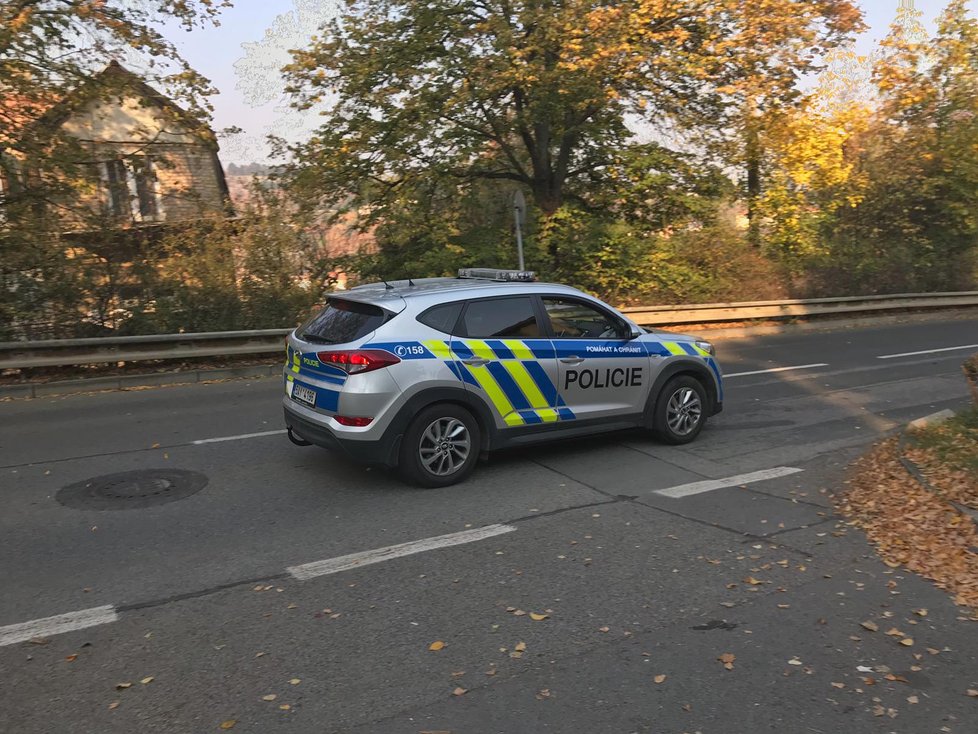 Ve sklepě domu v Hlubočepích policisté našli gumového hada.