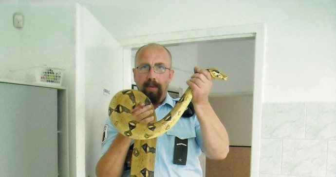 Strážník František Matoušek zasahoval s kolegou proti surovému opilému trýzniteli hada. Hroznýše se jim bohužel zachránit nepodařilo.