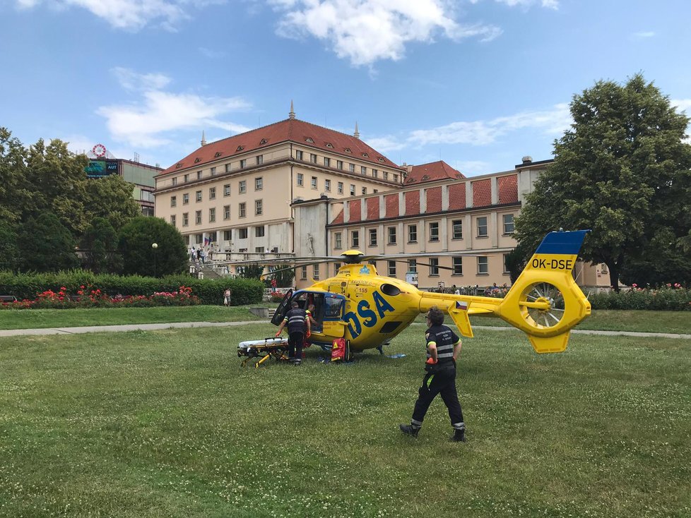 Muž pokousaný jedovatým hadem byl z Hradce Králové letecky transportován do Prahy