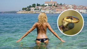Děsivý zážitek na oblíbené pláži v chorvatském Splitu: Moniku kousl had!