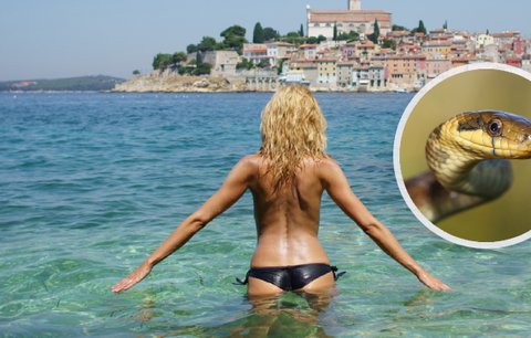 Děsivý zážitek na oblíbené pláži v chorvatském Splitu: Moniku kousl had!