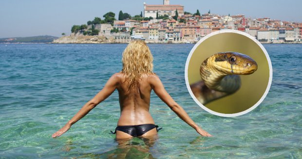 Expérience effrayante sur une plage populaire de Split, en Croatie : Monika est mordue par un serpent !
