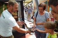 Brněnské centrum Olympia je plné hadů: Unikátní výstavu tu můžete navštívit ještě týden