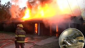 Hysterická reakce z hada vyústila v požár dvou rodinným domů.