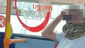 Muž ve Velké Británii si místo roušky obmotal kolem hlavy hada a vyrazil s ním do autobusu.