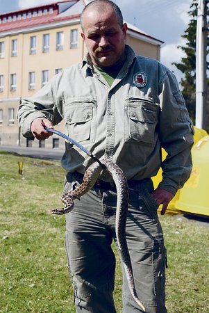 Zachránit místní před jedovatým hadem přijel zvířecí záchranář Karel Bobál