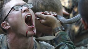 Voják pije teplou kobří krev
