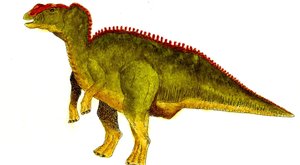 Dinosauři měli ještěří kůži