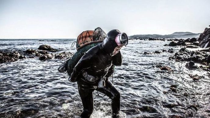 Haenyeo se bez dýchacích přístrojů běžně potápí až do hloubky dvaceti metrů.