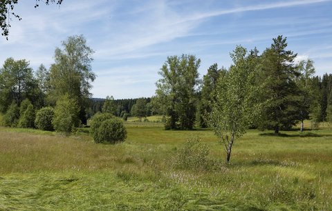 Vesnici na Šumavě naštval nelichotivý titul: Nejsme „pr*el světa“!