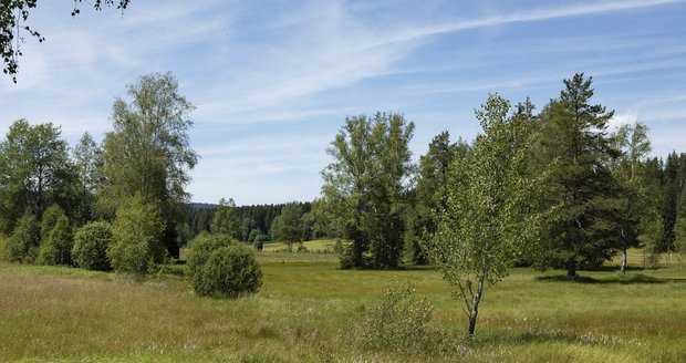 Haidmühle, Bavorsko (ilustrační foto)