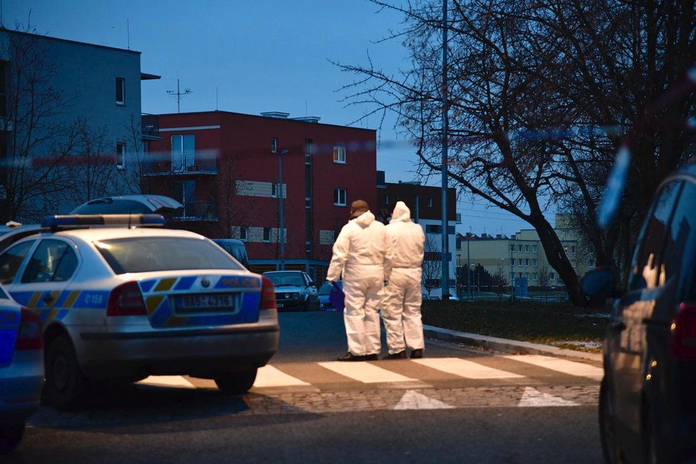 Policisté prověřují oznámení o zranění na pražských Hájích, kde se mělo střílet.