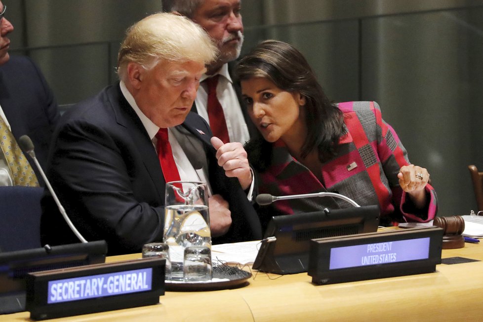 Velvyslankyně OSN za USA Haley podle Trumpa končí.