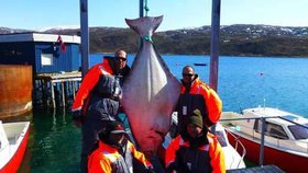 Ulovení rekordího halibuta trvalo 45 minut
