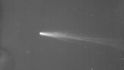 Halleyova kometa na fotografii z roku 1910