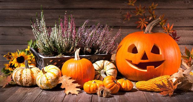 Halloweenská výzdoba, kterou zvládnete vy i vaše děti! Dýně, netopýři a další dekorace