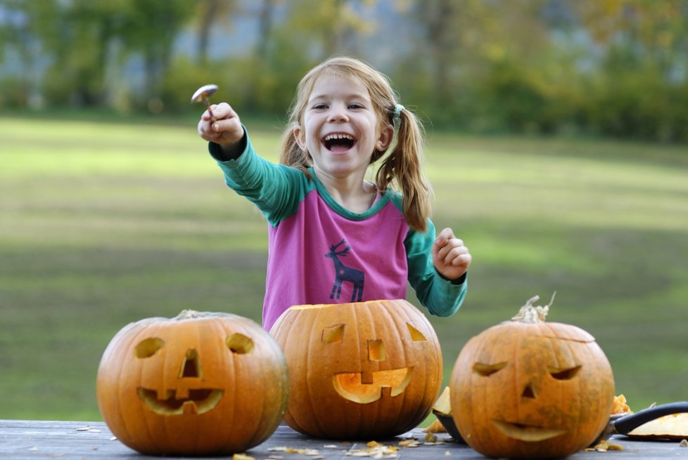 Ve Vinoři budou před blížícím se Halloweenem dlabat dýně. (ilustrační foto)