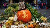 Halloween v zoologické zahradě v Brně: Na děti i dospělé čekalo tisíc dýní