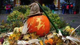 Stovky návštěvníků brněnské zoo si užily tradiční oslavu Halloweenu. Ke dlabání organizátoři nachystali tisícovku dýní.