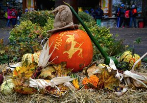 Stovky návštěvníků brněnské zoo si užily tradiční oslavu Halloweenu. Ke dlabání organizátoři nachystali tisícovku dýní.