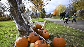 Halloween v Česku