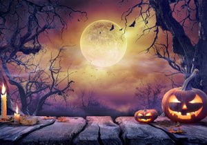 Nalaďte se na Halloween: Naše tipy na akce, hororové filmy, knihy a hry