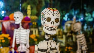 Kam na netradiční Halloween? Do interaktivního muzea nebo noční zoo Kam na netradiční Halloween? Do interaktivního muzea nebo noční zoo