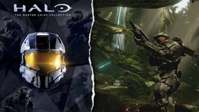 Halo: The Master Chief je ideální sbírkou pro všechny milovníky sci-fi stříleček.