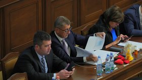 Premiér Andrej Babiš (ANO) a vicepremiér Jan Hamáček (ČSSD) sedí spolu vedle sebe také v Poslanecké sněmovně. Teď si vyříkávají společné vládnutí.