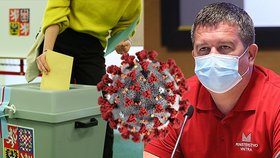 Za očkováním do volebních místností, navrhuje Hamáček.