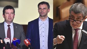 Vyjednávání o vládě přitvrdila. ČSSD dala ANO ultimátum. „Babiš bude premiérem i příští týden,“ kontroval Brabec.
