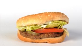 Za nejlepší byl vědci označen hovězí hamburger od Burger Kingu. Jeho chuť i vůni charakterizovali jako příjemnou a harmonickou.