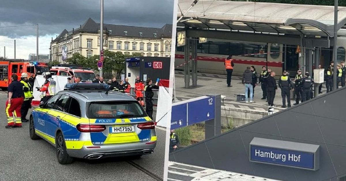 Hamburgo: El atacante de la estación de tren acabará en el psiquiatra para siempre
