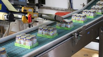 Strnadova CE Industries kupuje výrobce kojenecké výživy Fruta Podivín