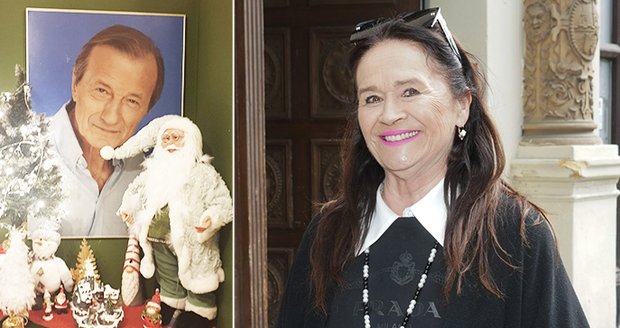 Hana Gregorová postavila k obrazu Radka Brzobohatého velkého Santu.