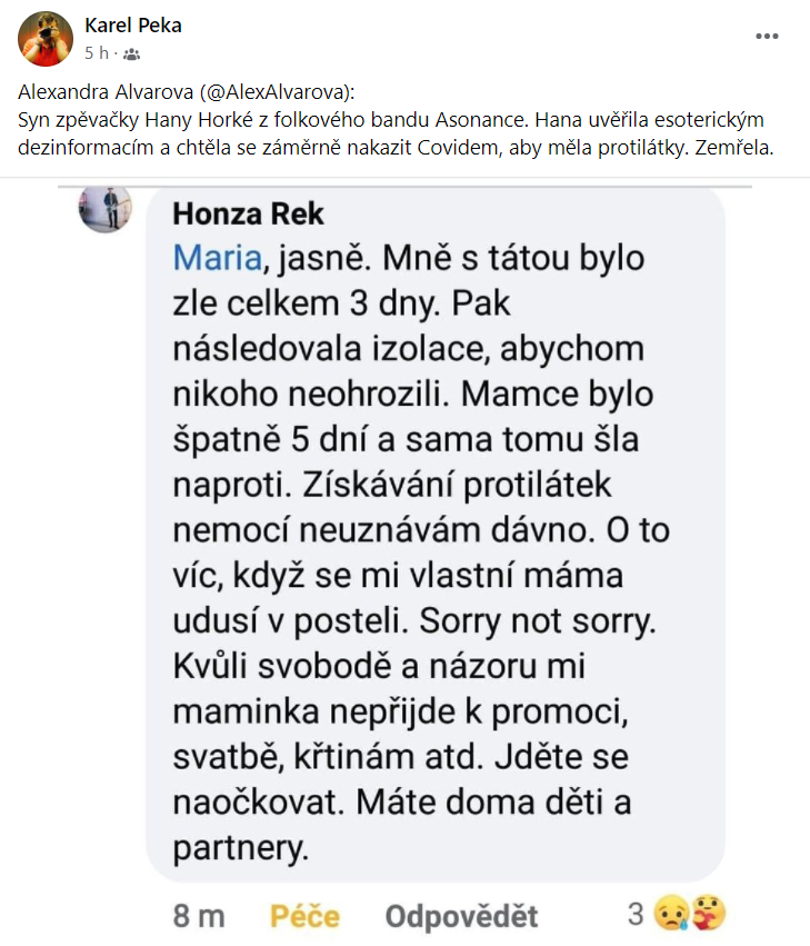 Na internetu se objevily screenshoty Alexandry Alvarové, která zachytila drsné komentáře syna Horké.