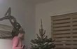 I přes chystaný rozvod hodlají udělat Reindersovi synkovi krásné Vánoce
