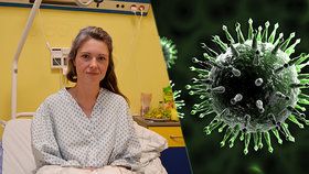 Na severu Moravy je krvácivá horečka! Marta chytila virus, který přenáší hlodavci