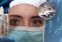 Přenos hantaviru z člověka na člověka: Skrývá se ve varlatech