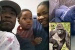 Rodiče, kteří neuhlídali syna, kterým jim spadl do výběhu s gorilami, vyšetřuje policie.