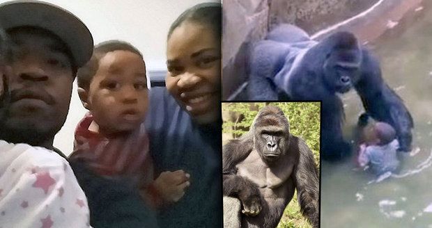 Rodiče chlapce, kvůli kterému zastřelili gorilu: Vyhrožují jim smrtí