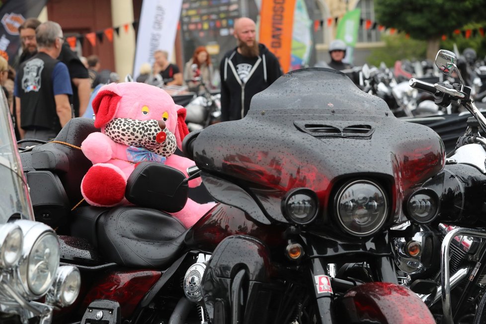 Výstaviště se zaplnilo nejrůznějšími modely americké značky Harley-Davidson.