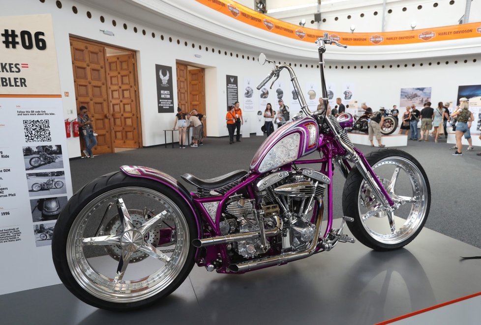 Na oslavách Harley-Davidson na výstavě je k vidění zhruba 150 unikátních motorek. Nejstarší Harley pochází z roku 2014.